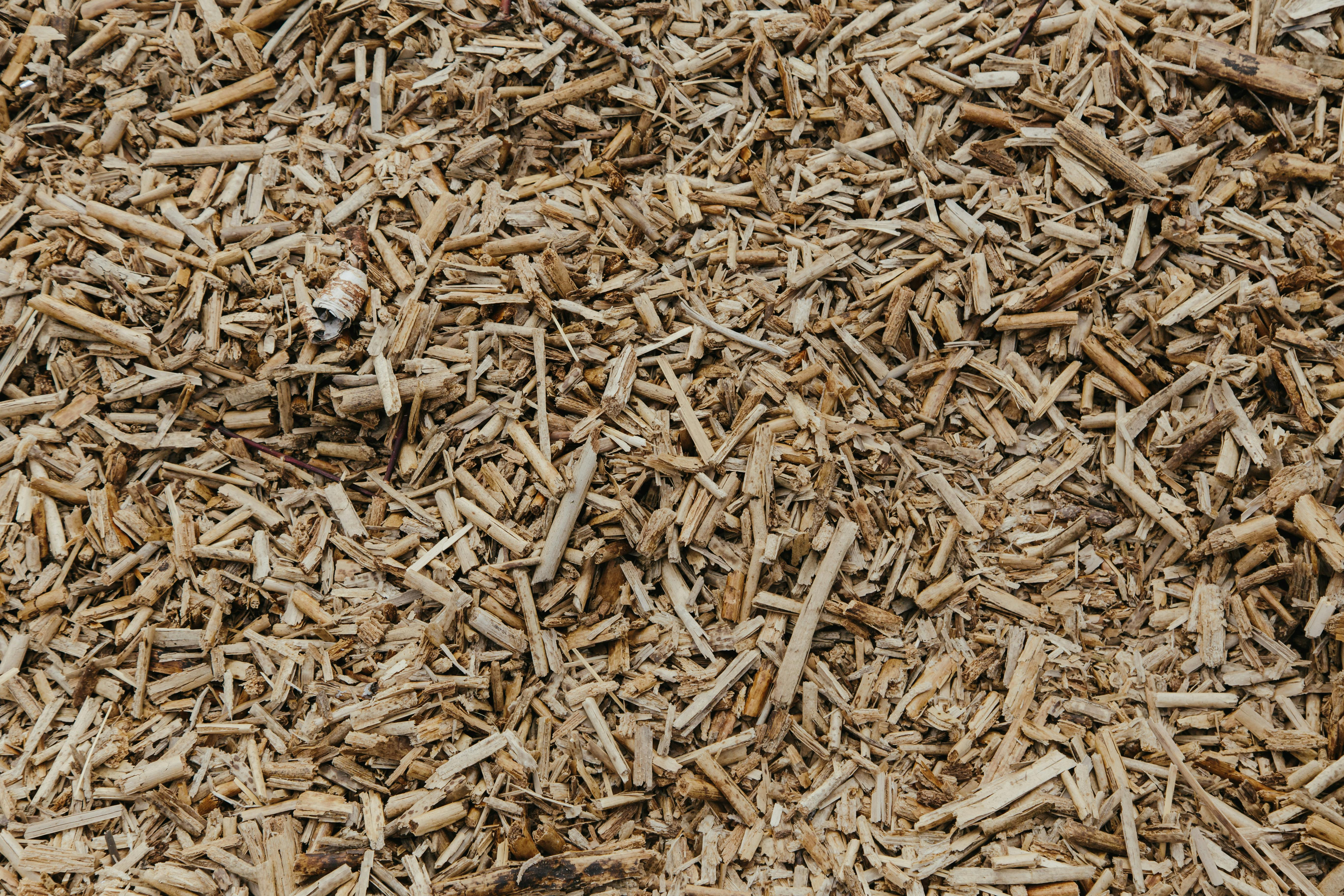 A modern, clean milling facility showing how wood scraps are collected for biomass energy.