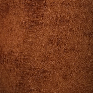 Wood grain of Red Nato (Palaquium luzoniense)