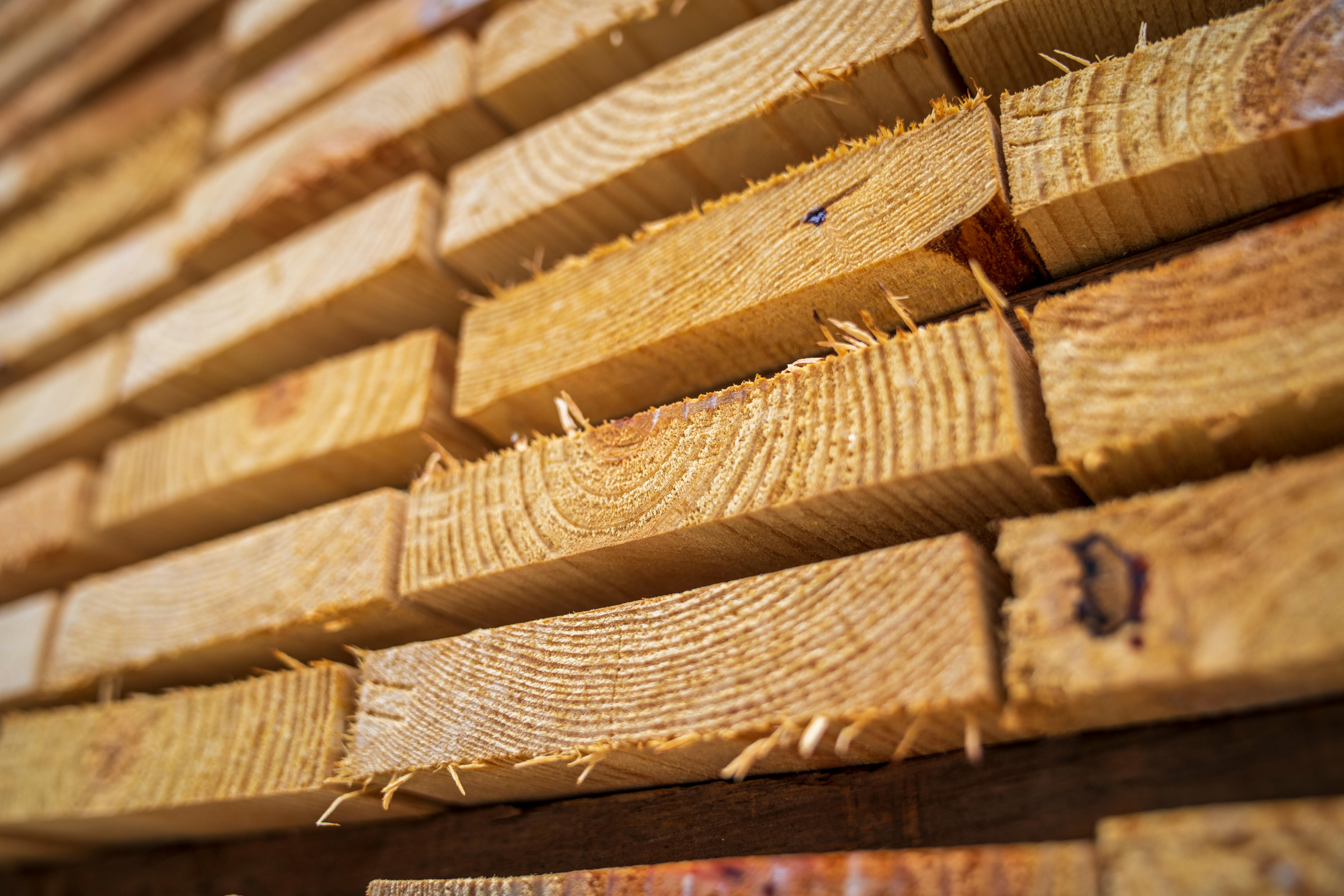 A large, custom-cut hardwood slab being processed in a modern milling facility.