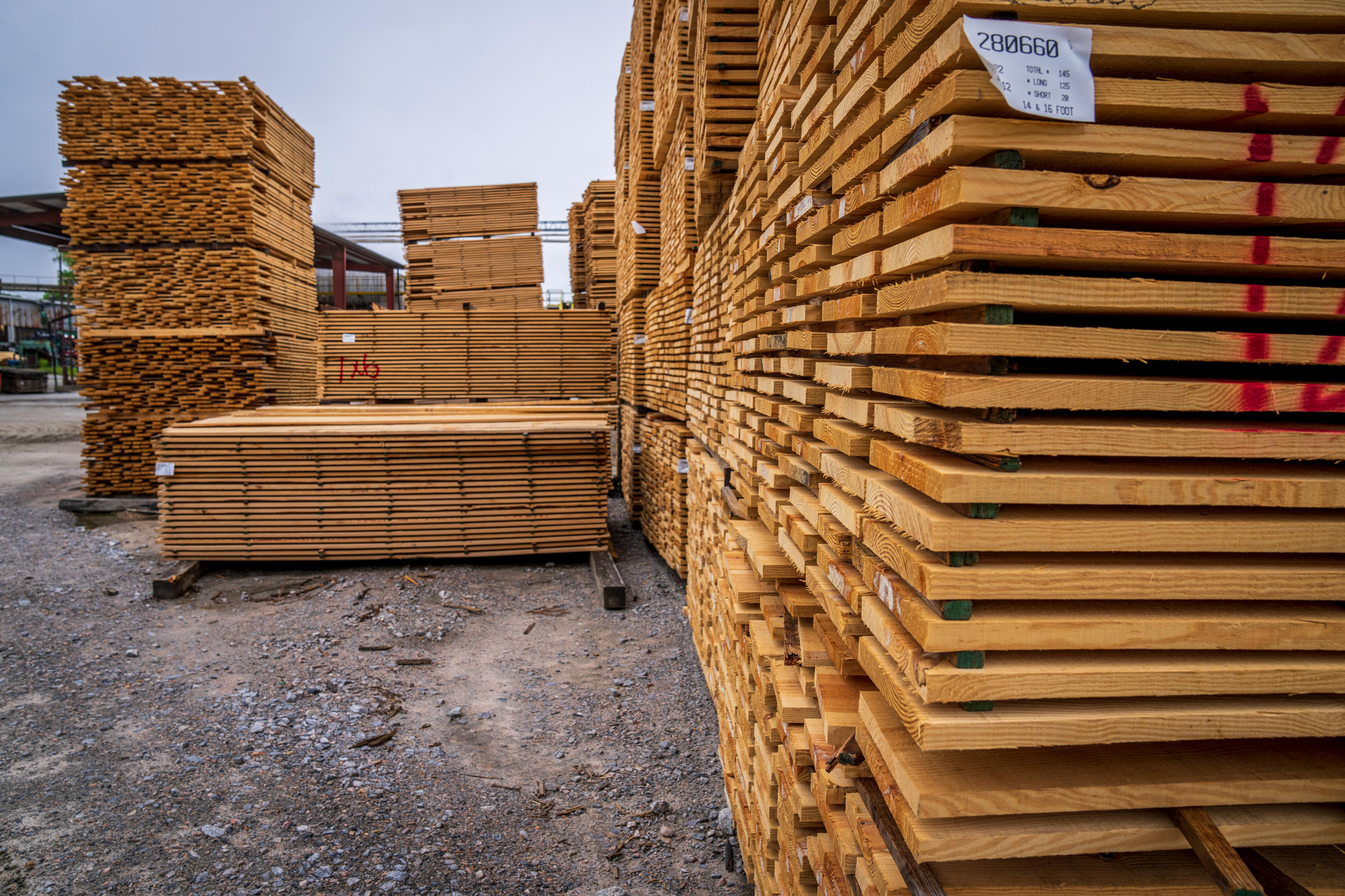 Stacks of processed Gmelina softwood lumber